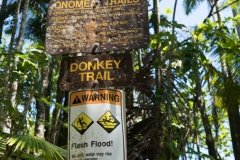 hawaii-day-1 (49 of 96)