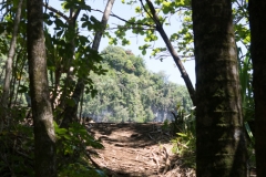 hawaii-day-1 (51 of 96)