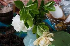 hawaii-day-1 (69 of 96)