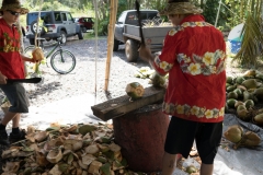 hawaii-day-1 (74 of 96)