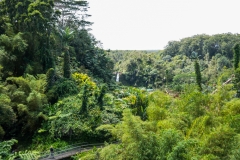 hawaii-day-1 (75 of 96)