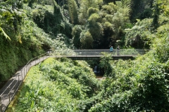 hawaii-day-1 (76 of 96)