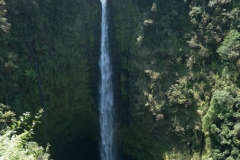 hawaii-day-1 (79 of 96)