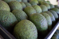 hawaii-day-1 (83 of 96)