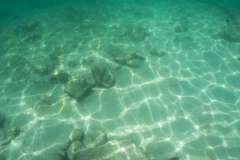 hawaii-day-2 (41 of 58)