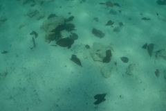 hawaii-day-2 (42 of 58)