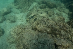 hawaii-day-2 (44 of 58)