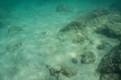 hawaii-day-2 (45 of 58)