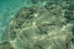 hawaii-day-2 (46 of 58)