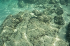 hawaii-day-2 (47 of 58)