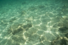 hawaii-day-2 (48 of 58)