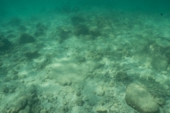 hawaii-day-2 (52 of 58)