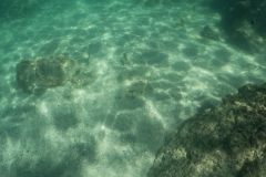 hawaii-day-2 (54 of 58)