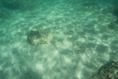 hawaii-day-2 (55 of 58)