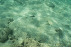 hawaii-day-2 (56 of 58)