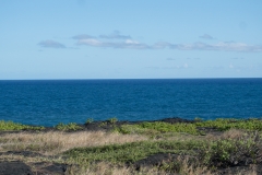 hawaii-day-3 (51 of 68)