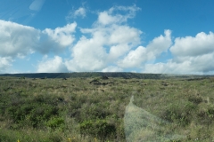 hawaii-day-3 (53 of 68)