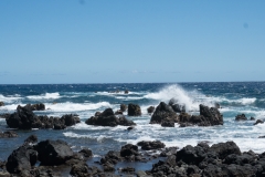 hawaii-day-4 (12 of 45)