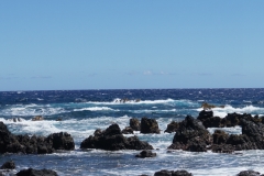 hawaii-day-4 (13 of 45)