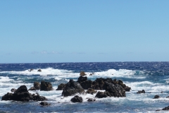 hawaii-day-4 (14 of 45)