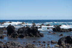 hawaii-day-4 (15 of 45)