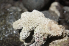 hawaii-day-4 (26 of 45)