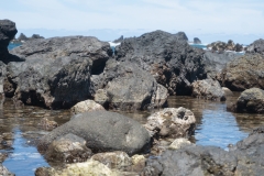 hawaii-day-4 (27 of 45)