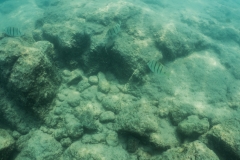 hawaii-day-5 (11 of 49)