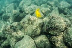 hawaii-day-5 (12 of 49)