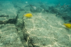 hawaii-day-5 (13 of 49)