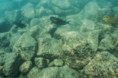 hawaii-day-5 (14 of 49)