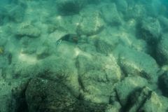 hawaii-day-5 (17 of 49)