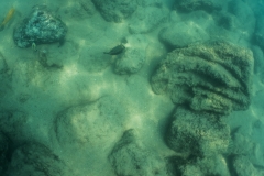 hawaii-day-5 (19 of 49)