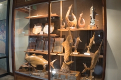 hawaii-day-5 (2 of 49)