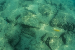 hawaii-day-5 (20 of 49)