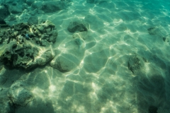 hawaii-day-5 (24 of 49)