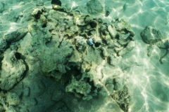 hawaii-day-5 (25 of 49)