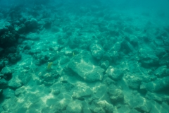 hawaii-day-5 (26 of 49)