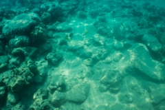 hawaii-day-5 (27 of 49)