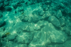 hawaii-day-5 (28 of 49)