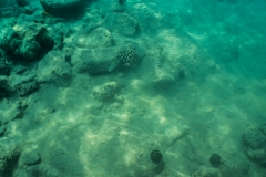 hawaii-day-5 (29 of 49)