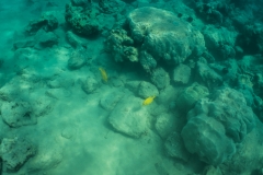 hawaii-day-5 (30 of 49)