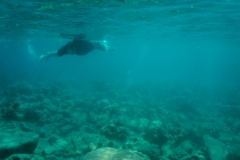 hawaii-day-5 (31 of 49)