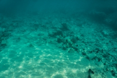 hawaii-day-5 (32 of 49)