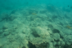 hawaii-day-5 (4 of 49)