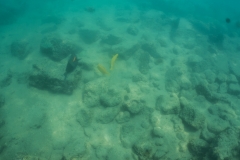 hawaii-day-5 (5 of 49)