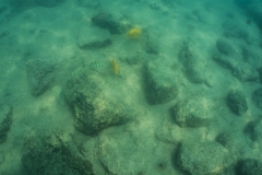 hawaii-day-5 (6 of 49)