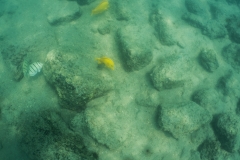 hawaii-day-5 (7 of 49)