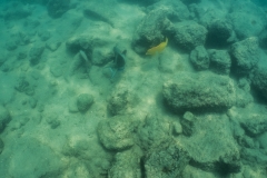 hawaii-day-5 (8 of 49)