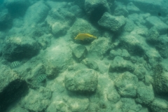 hawaii-day-5 (9 of 49)